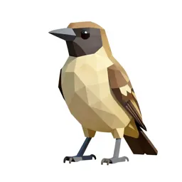 Great bowerbird