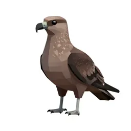 Great skua