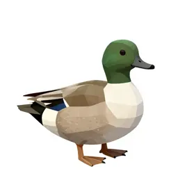 Greater scaup