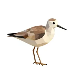 Greater yellowlegs