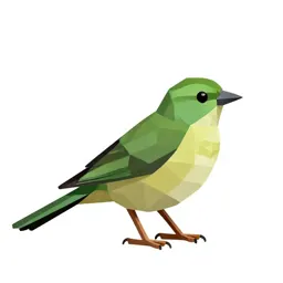 Green-tailed towhee
