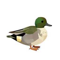 Greenwing