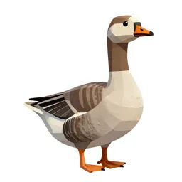 Greylag
