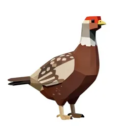 Grouse