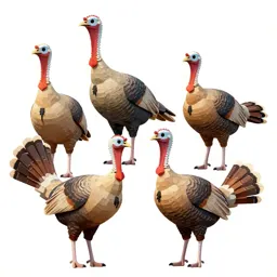 Guan