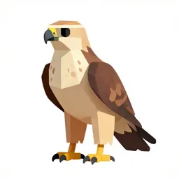 Harrier eagle