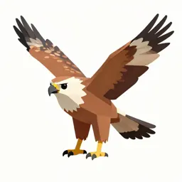 Harrier