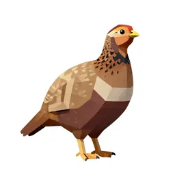 Heath hen