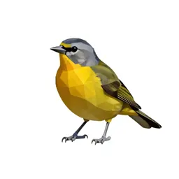 Hepatic tanager