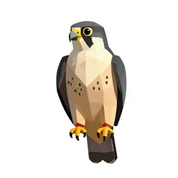Hobby
