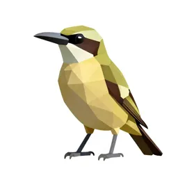 Honey eater