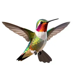 Hummingbird