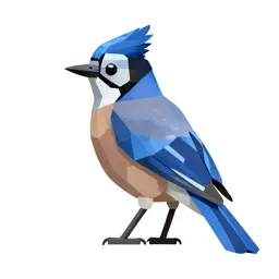 Jay