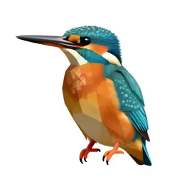 Kingfisher