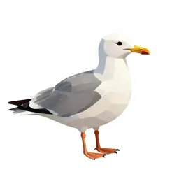 Kittiwake