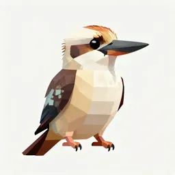 Kookaburra