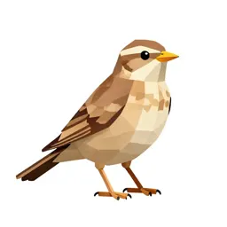 Lark