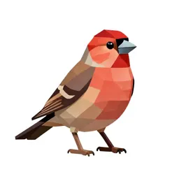Linnet