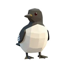 Little auk
