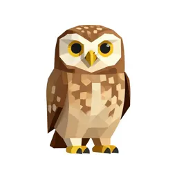 Little owl