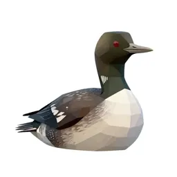 Loon