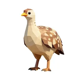 Mallee hen