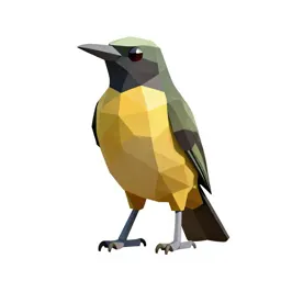 Manakin