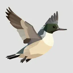 Merganser