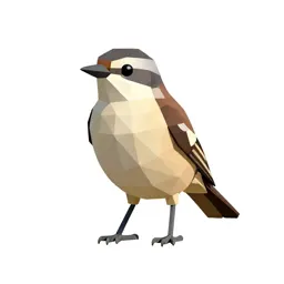 Migrant shrike