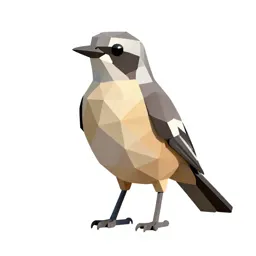 Mockingbird