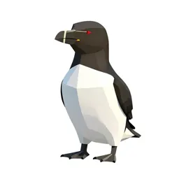 Murre