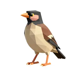 Myna