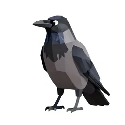 Night raven