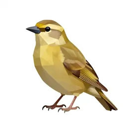 Nonpasserine bird