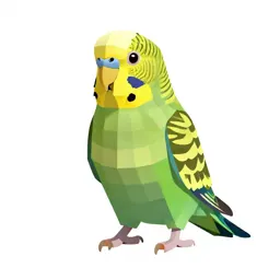 Parakeet