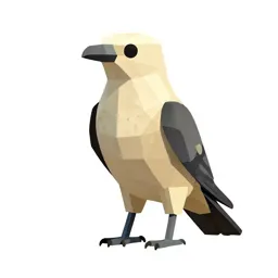 Parasitic jaeger