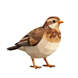 Partridge
