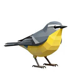 Parula warbler