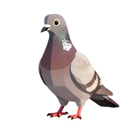Passenger pigeon