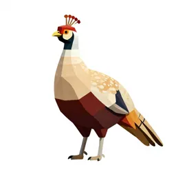 Peafowl