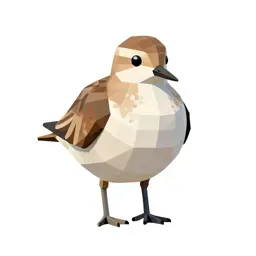 Pectoral sandpiper
