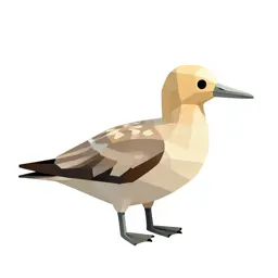Pelagic bird