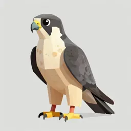 Peregrine