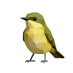 Pewee