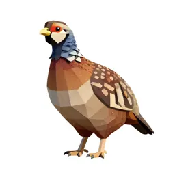 Phasianid