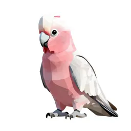 Pink cockatoo