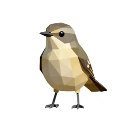 Pipit