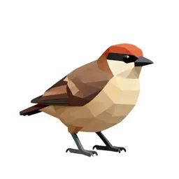 Pitta
