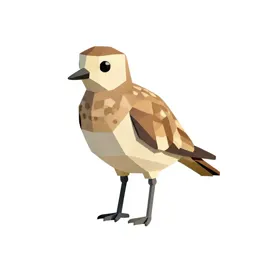 Plover