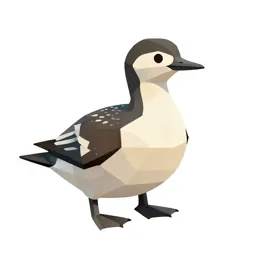 Podicipitiform seabird